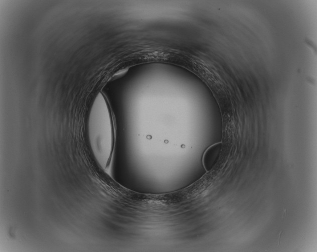 X0000090970649200708301227