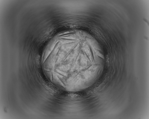 X0000090970650200708301227