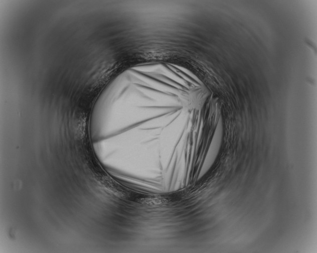 X0000090970652200708301227