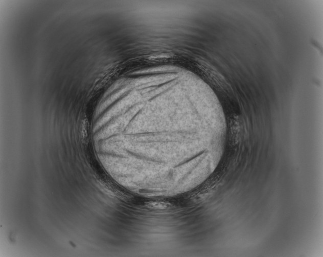 X0000090970654200708301227
