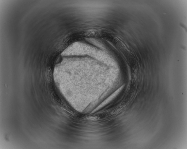 X0000090970659200708301227