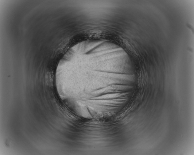 X0000090970661200708301227