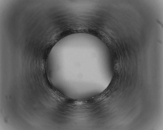 X0000090970662200708301227