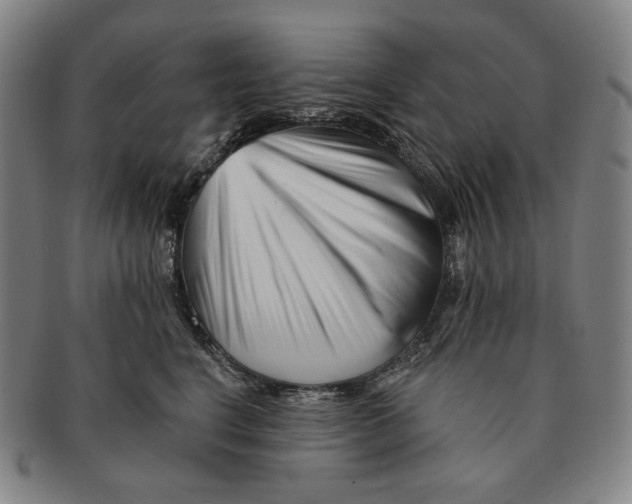 X0000090970664200708301227