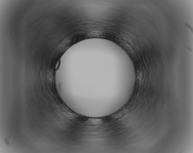 X0000090970665200708301227
