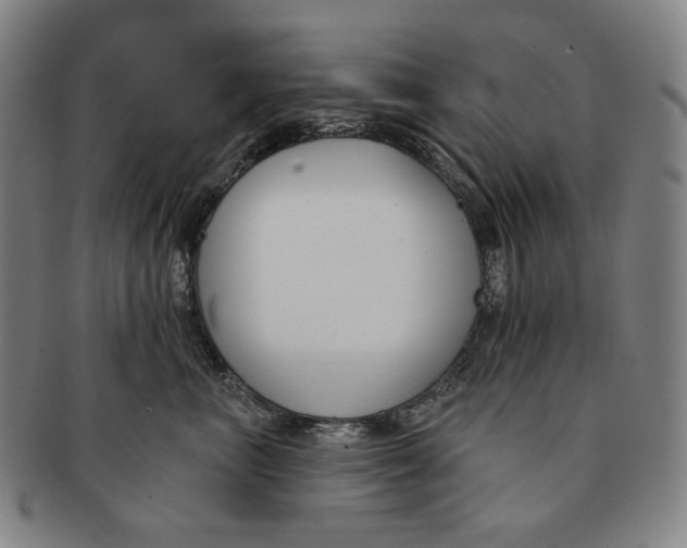 X0000090970667200708301227