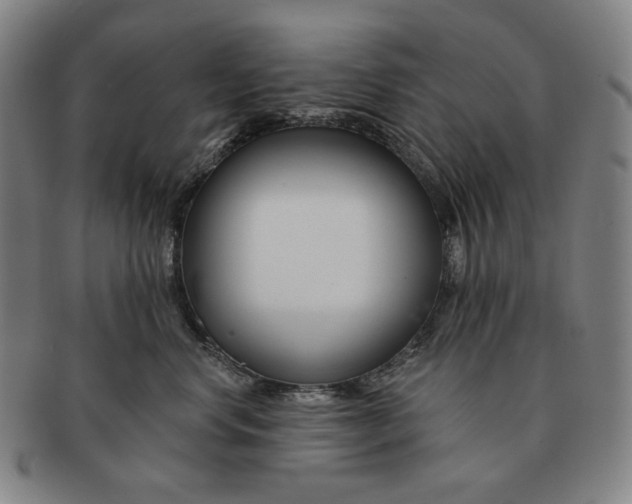 X0000090970668200708301227