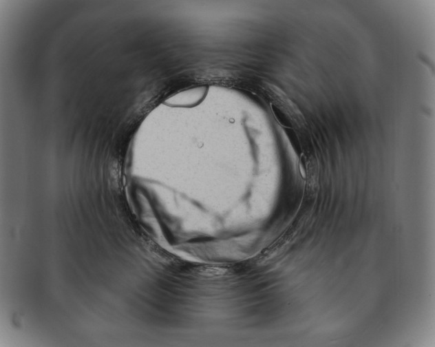 X0000090970669200708301227