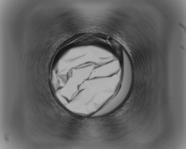X0000090970673200708301227