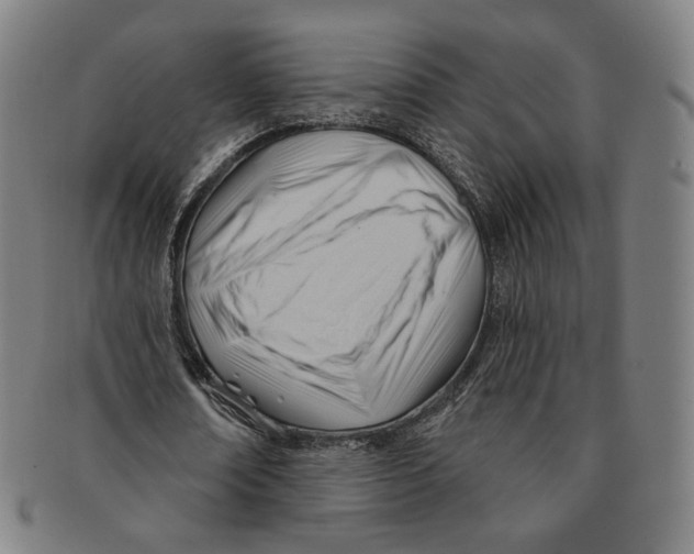 X0000090970674200708301227