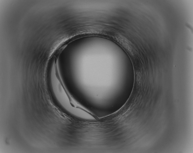 X0000090970676200708301227