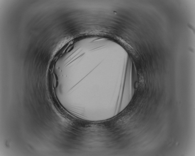X0000090970678200708301227