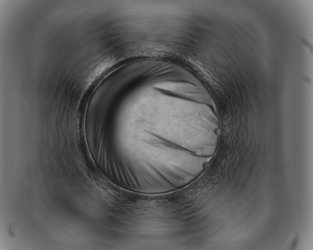 X0000090970679200708301227