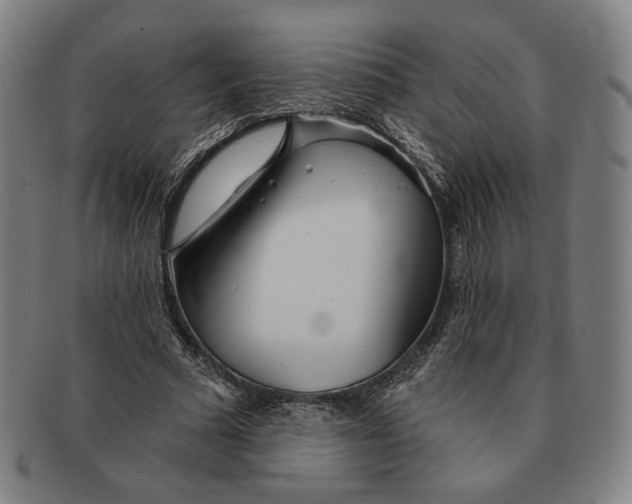 X0000090970681200708301227