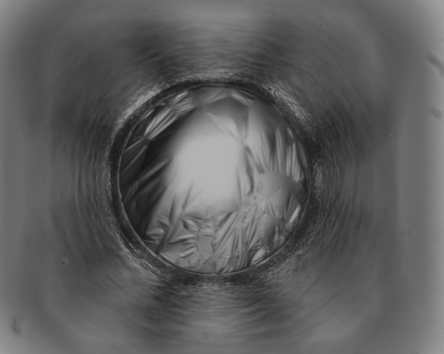 X0000090970684200708301227