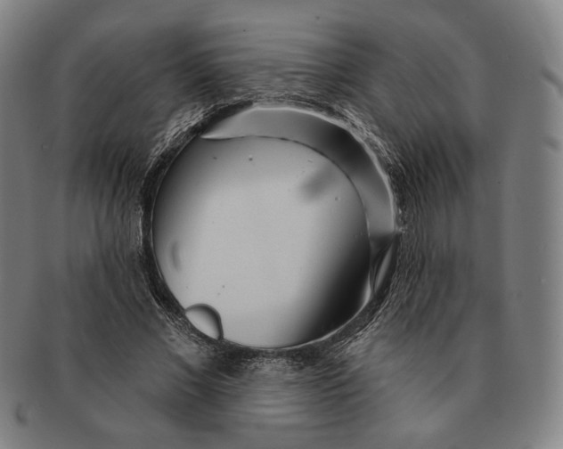 X0000090970685200708301226