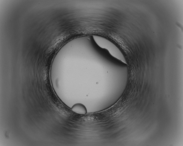 X0000090970687200708301226