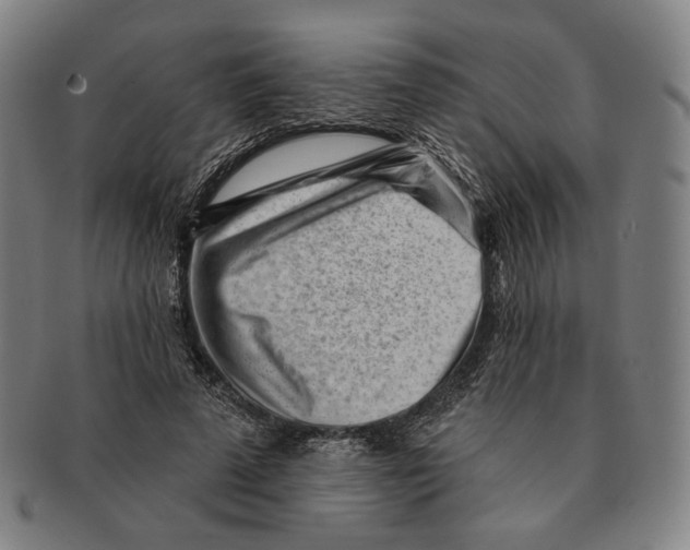 X0000090970689200708301226