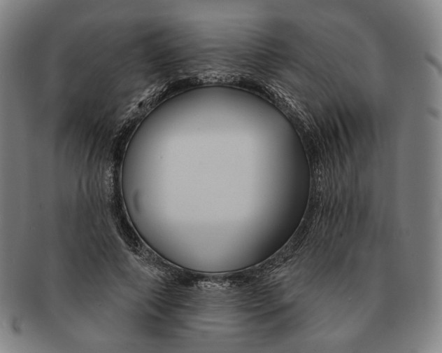 X0000090970690200708301226
