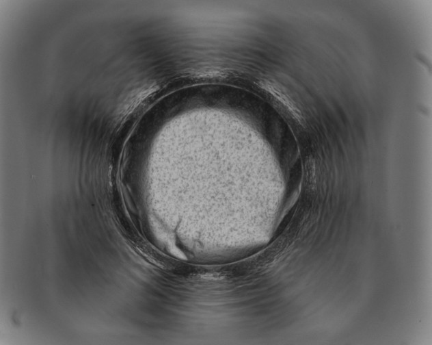 X0000090970692200708301226