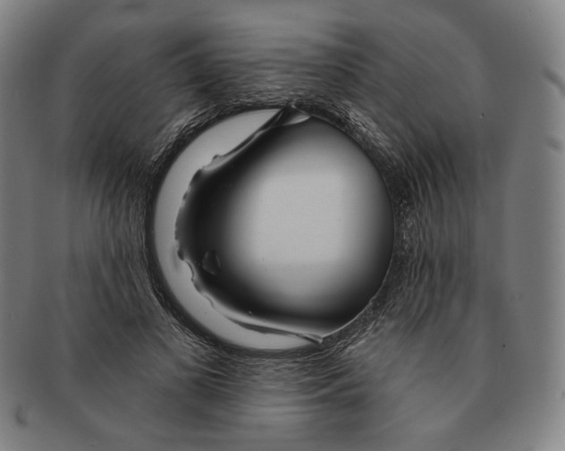 X0000090970693200708301226