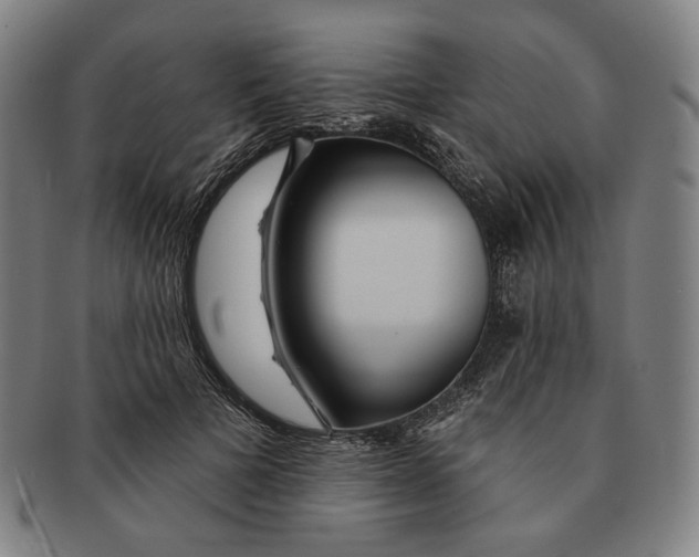 X0000090970697200708301226