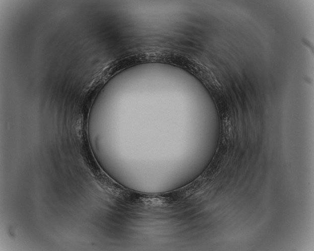 X0000090970698200708301226