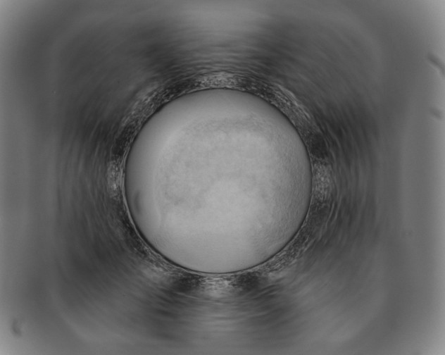 X0000090970701200708301226