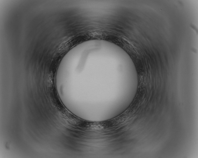 X0000090970702200708301226