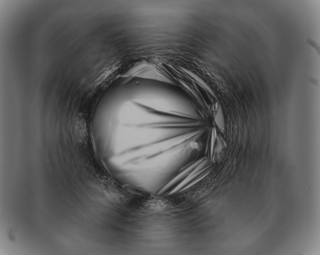 X0000090970704200708301226