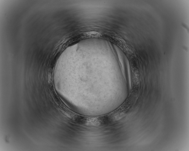 X0000090970705200708301226