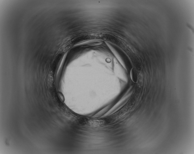 X0000090970707200708301226