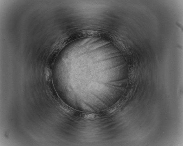 X0000090970709200708301226