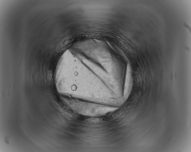 X0000090970711200708301226