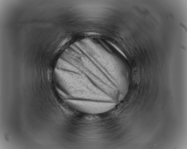 X0000090970712200708301226