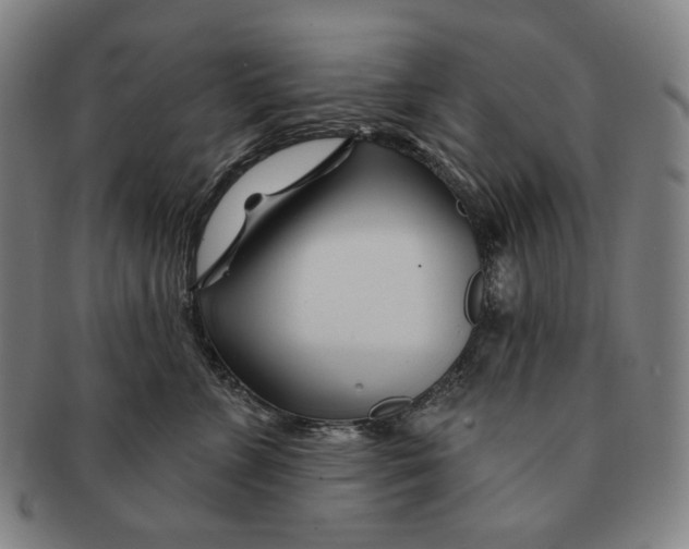 X0000090970715200708301226
