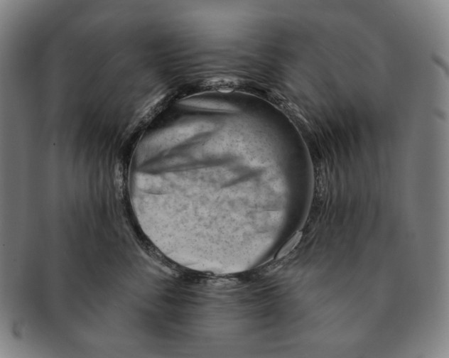 X0000090970716200708301226