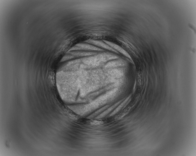 X0000090970718200708301226