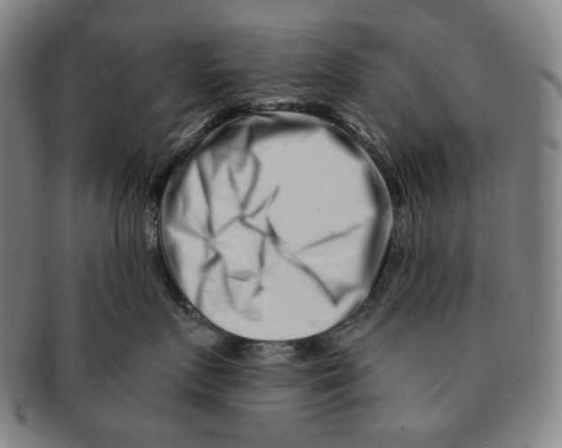 X0000090970719200708301226