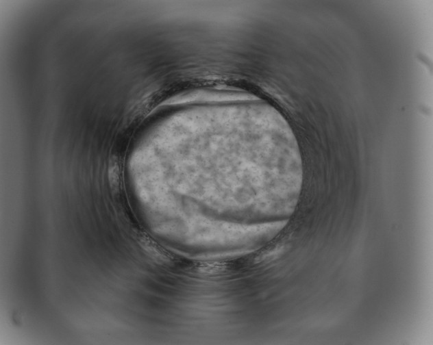 X0000090970720200708301226