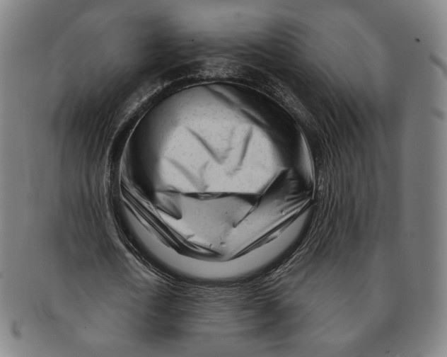 X0000090970722200708301225