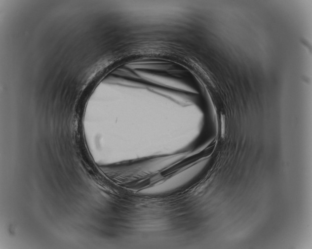 X0000090970723200708301225