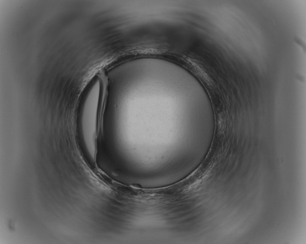 X0000090970725200708301225