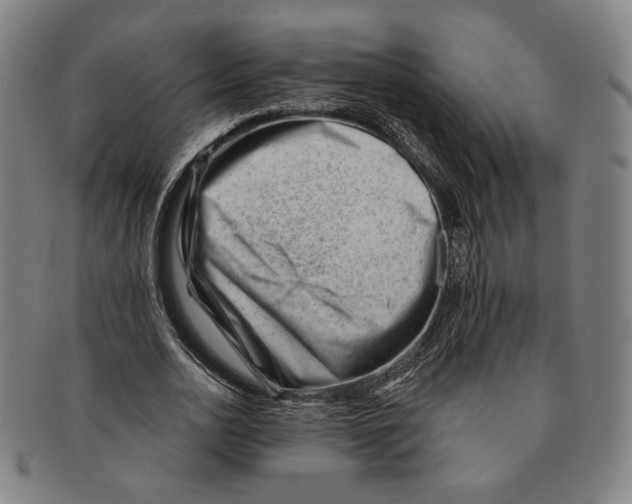 X0000090970726200708301225