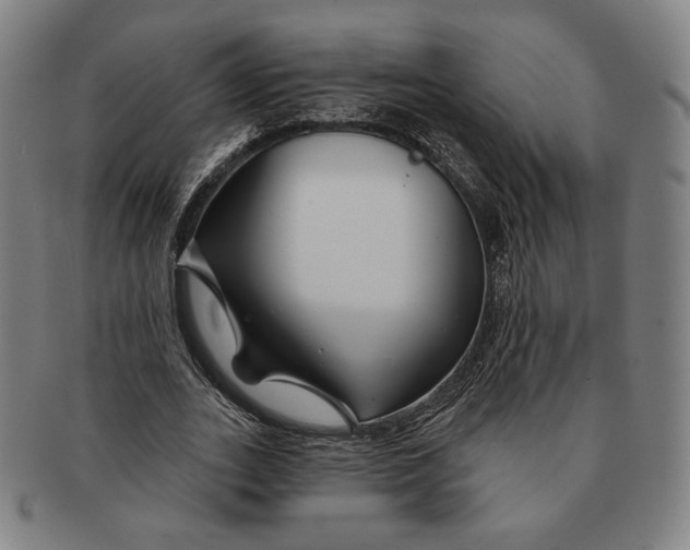 X0000090970727200708301225