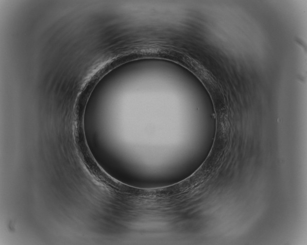 X0000090970728200708301225