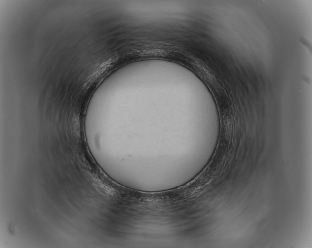 X0000090970729200708301225