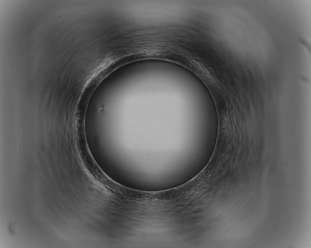 X0000090970730200708301225