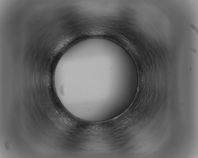 X0000090970732200708301225