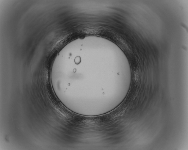 X0000090970733200708301225